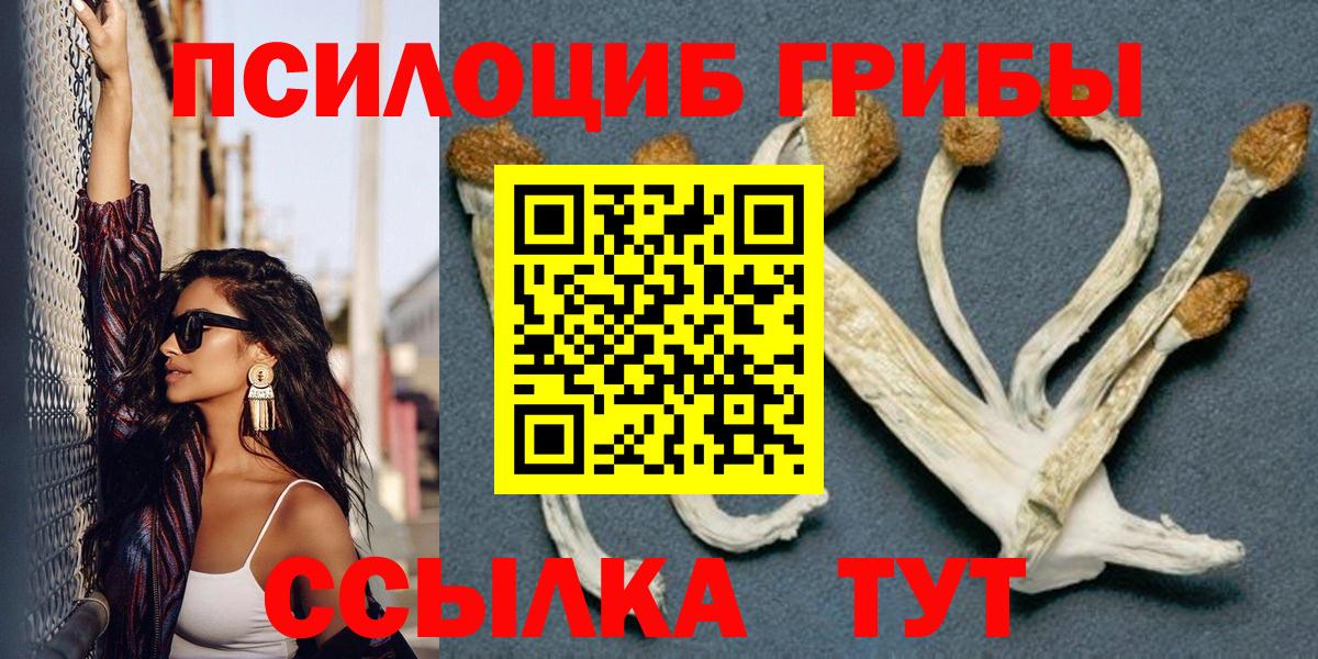 Псилоцибиновые грибы мицелий Волжский