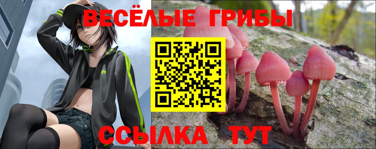 цена наркотик  Волжский  Галлюциногенные грибы Cubensis 