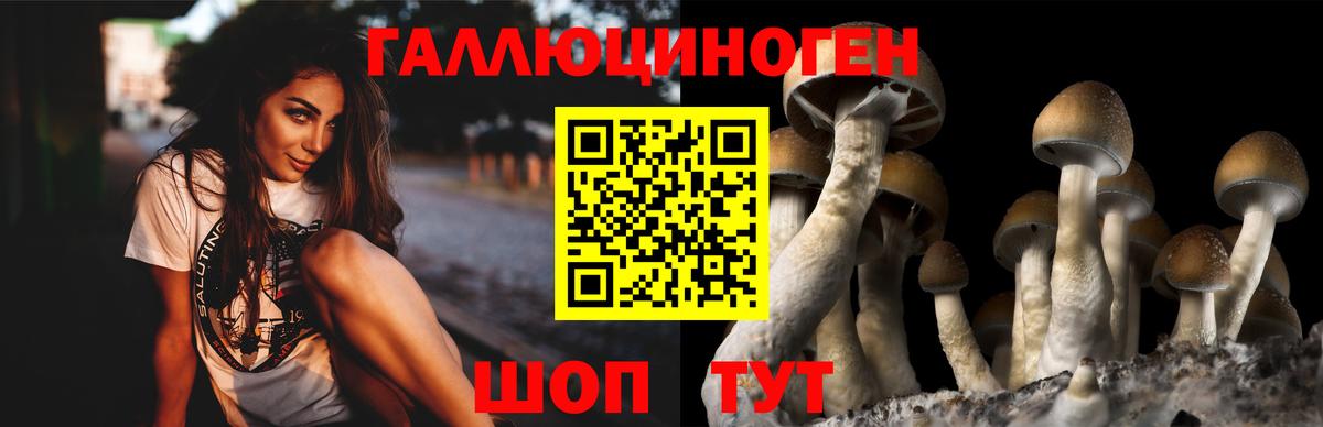 Галлюциногенные грибы мицелий  Вход с VPN  Галлюциногенные грибы Magic Shrooms  Волжский 